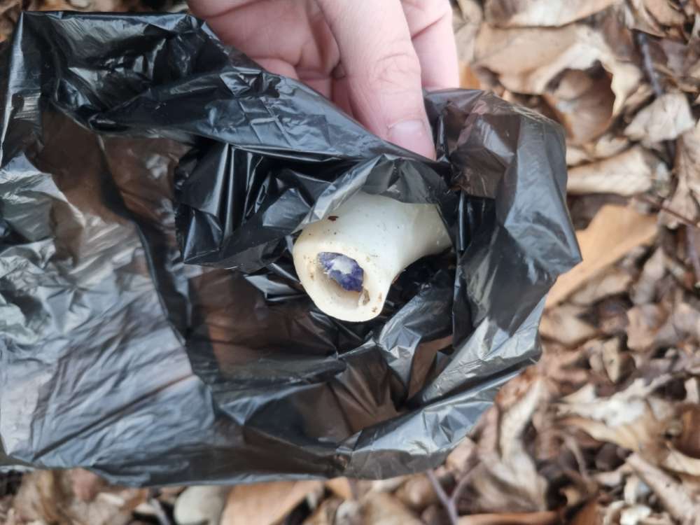 Giftköder-Giftköder im Wald-Profilbild