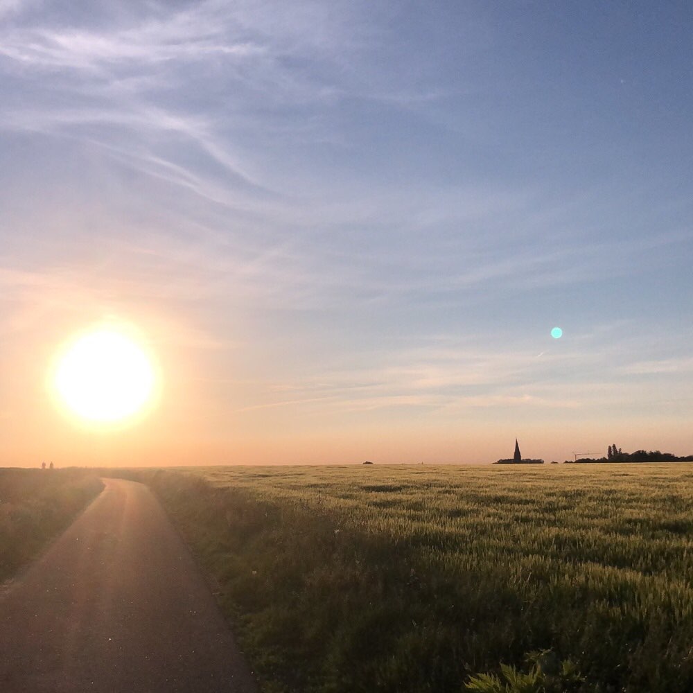 Hundetreffen-„Spaßrunde in Scherpenseel“-Profilbild