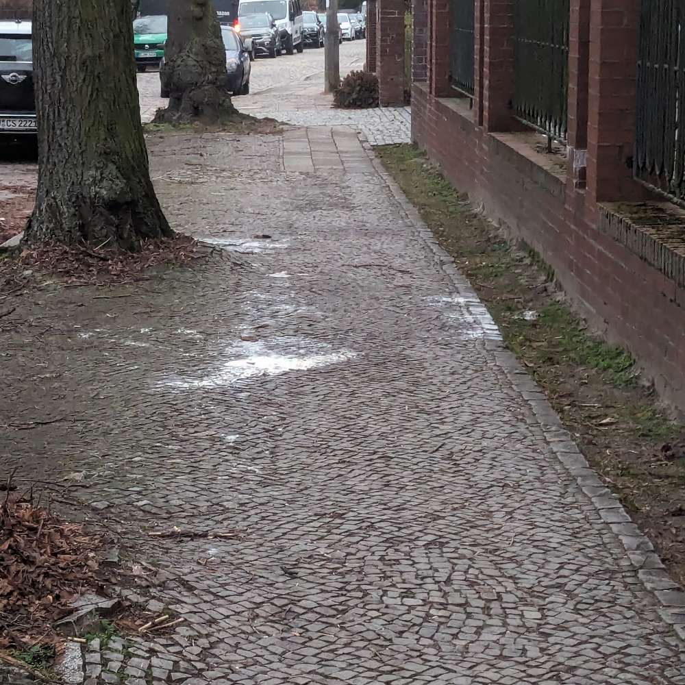 Giftköder-Weißes Pulver-Profilbild