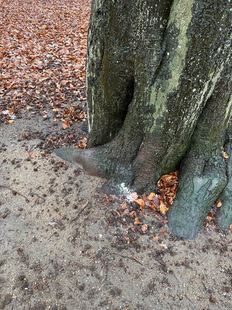 Giftköder-Weisses Pulver am Wegrand (Zaun)-Profilbild