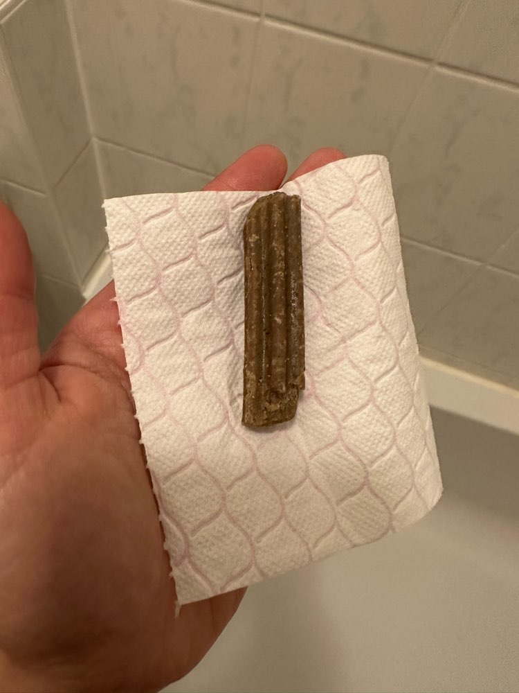 Giftköder-Besprühte Leckerlies ausgelegt-Profilbild