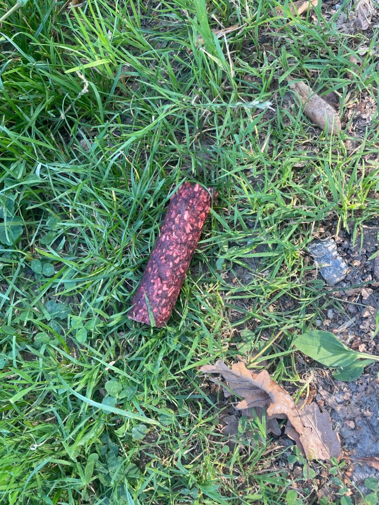 Giftköder-Mögliche Giftköder-Profilbild