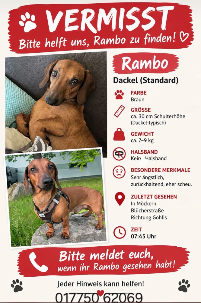 Suchmeldung-Rambo-Profilbild