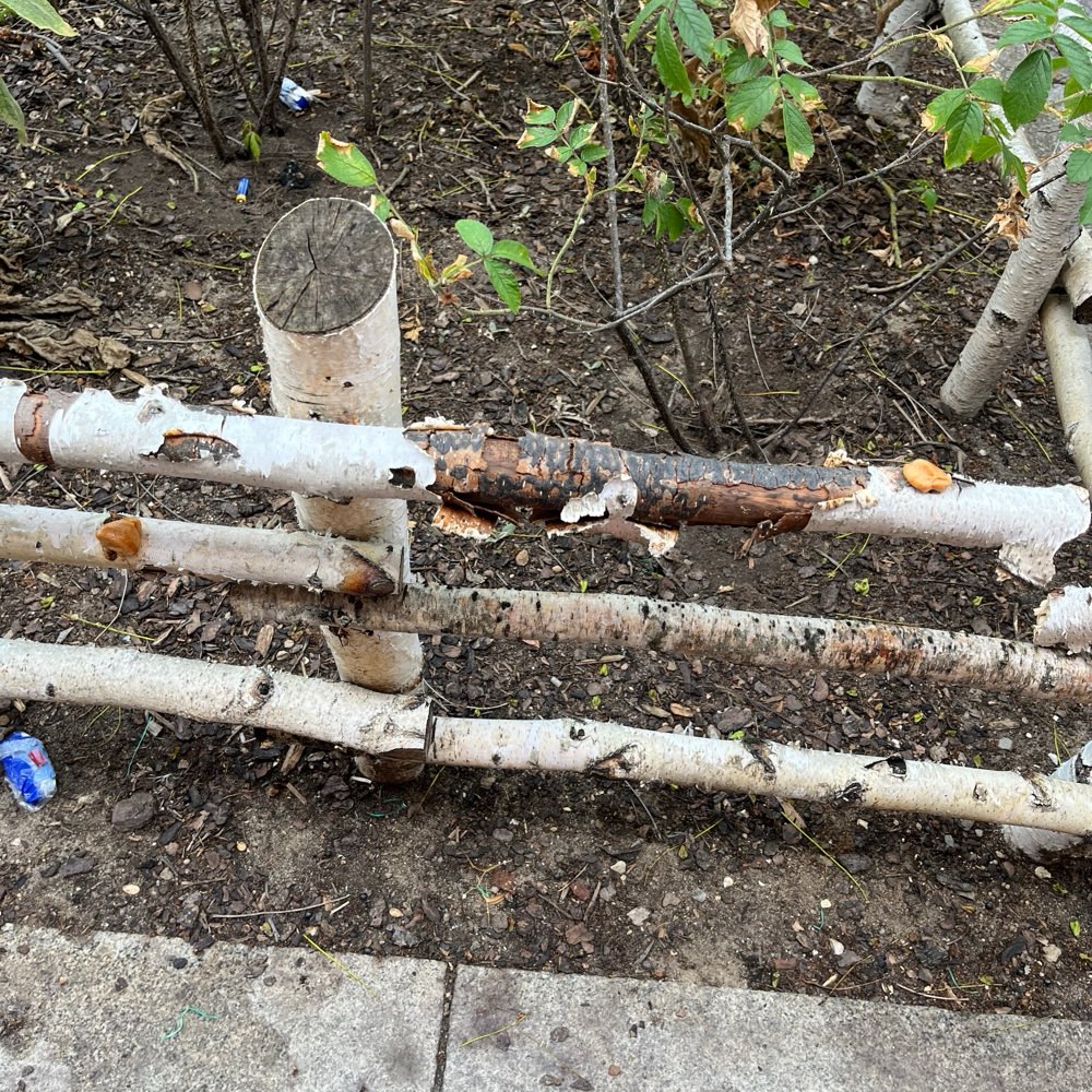 Giftköder-Möglicher Giftköder-Profilbild