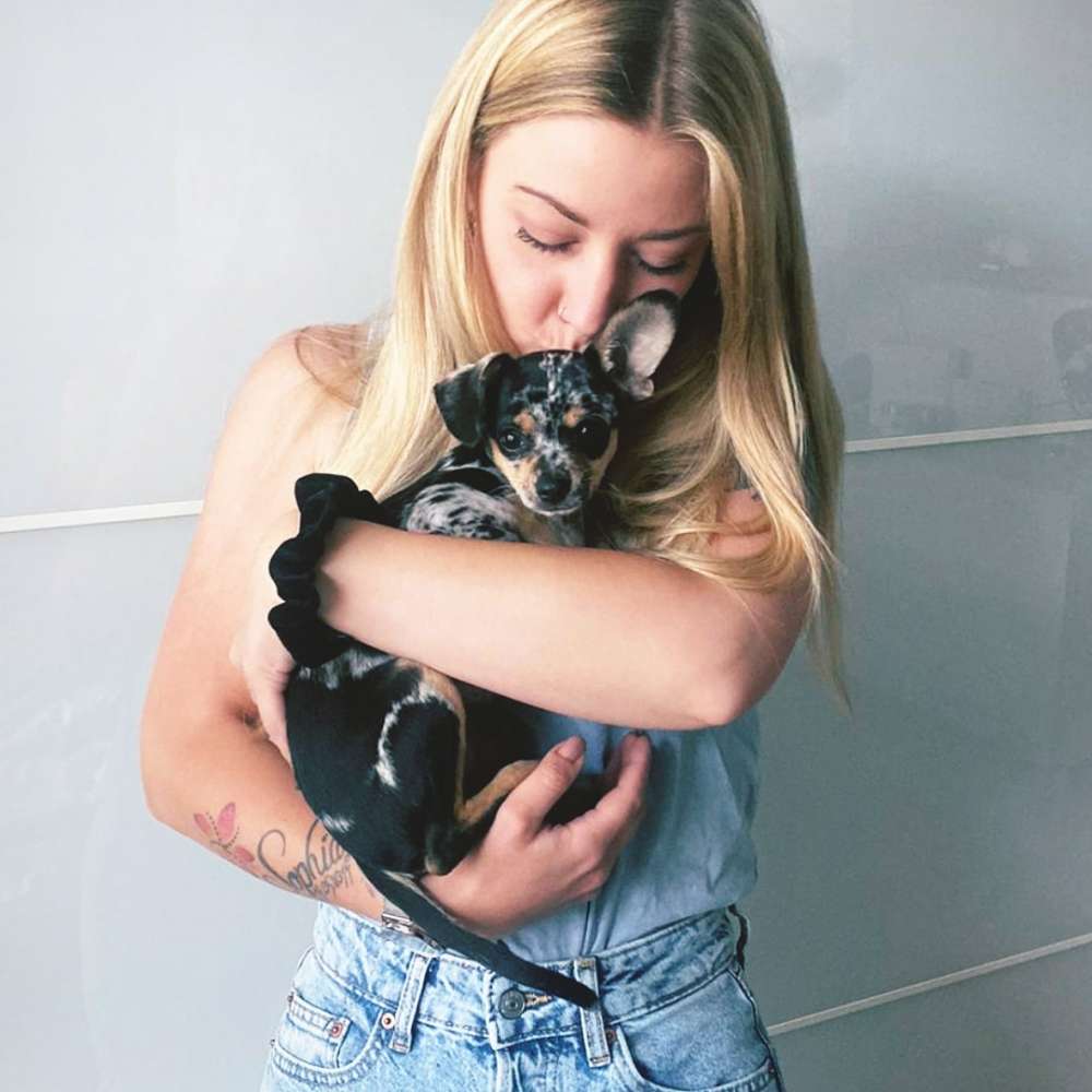 Hundetreffen-Mini Hundetreff-Profilbild