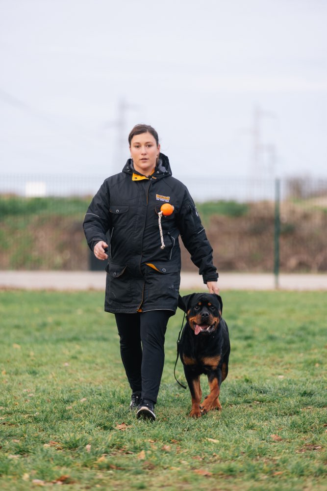 Hundetreffen-Große Hunde, Social Walk-Profilbild