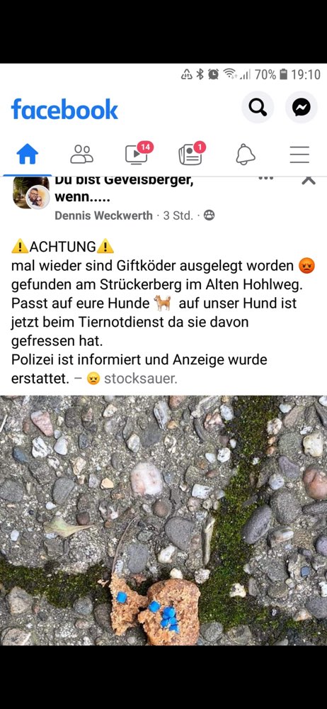 Giftköder-Giftköder-Profilbild