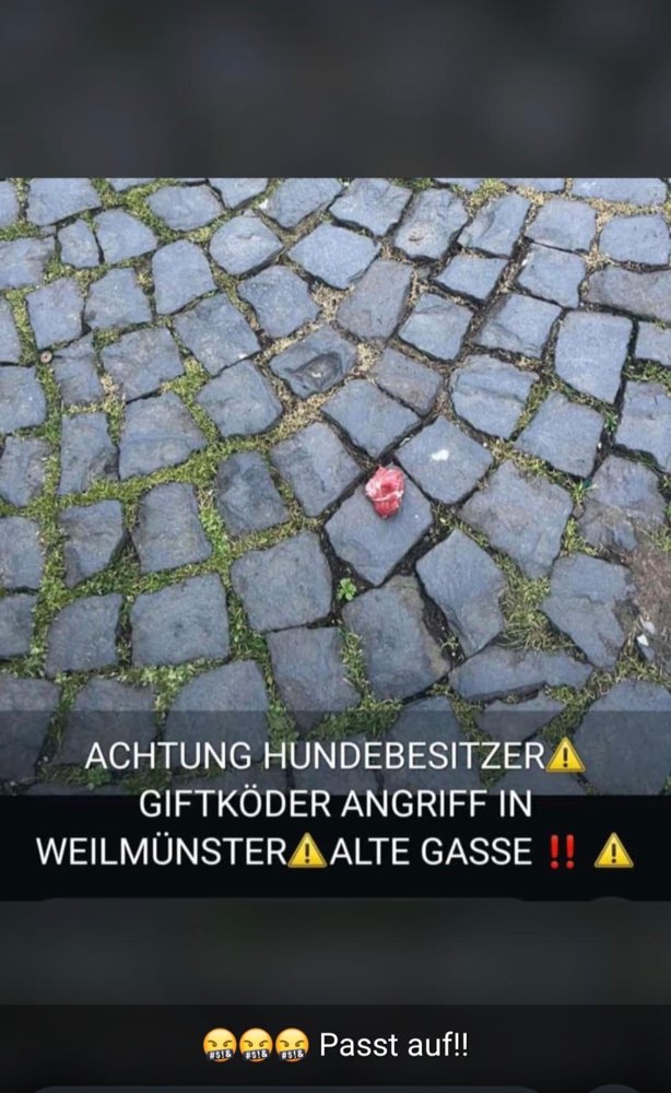 Giftköder-Giftköder-Profilbild