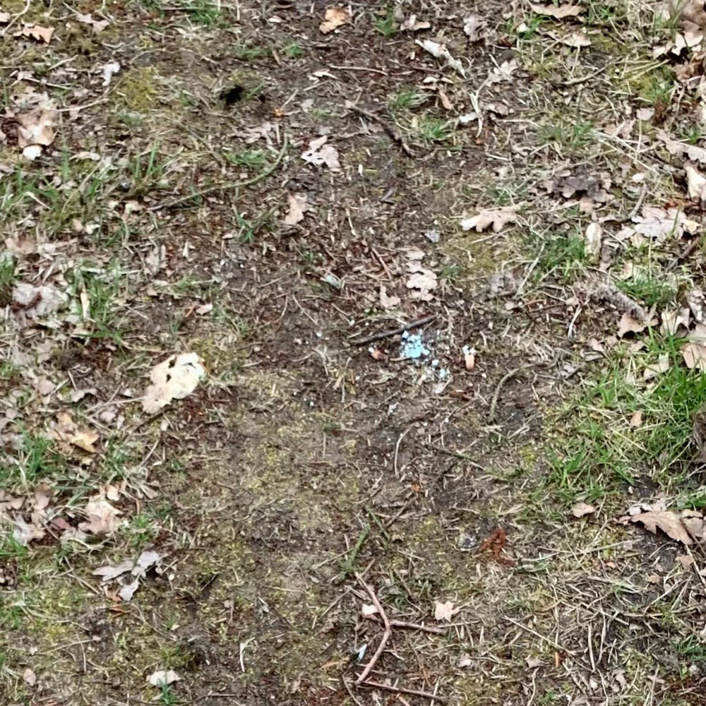 Giftköder-Schneckenkorn-Profilbild