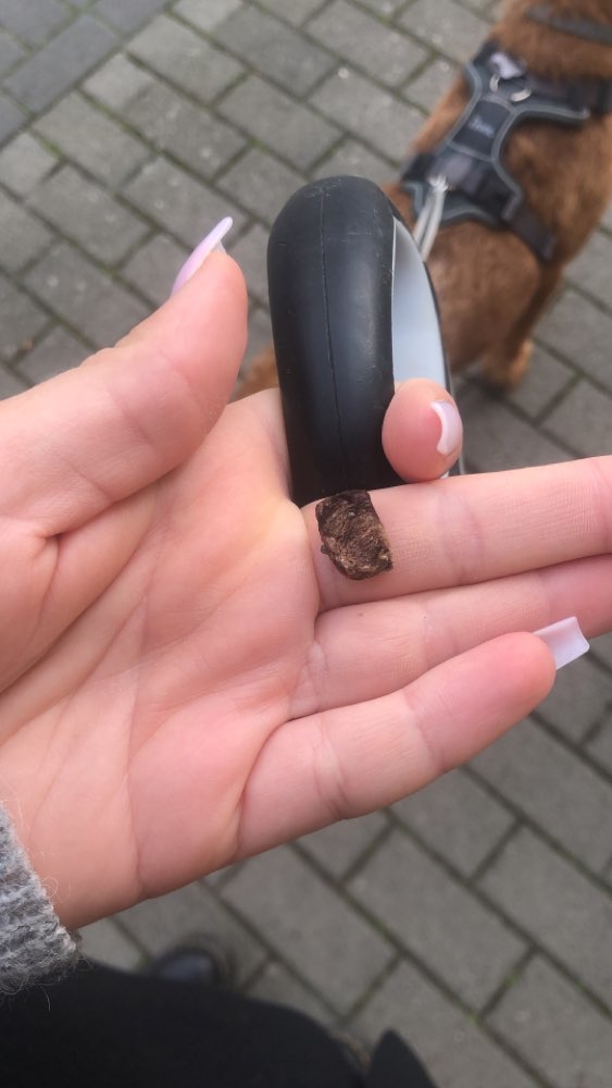 Giftköder-Fleischstücke - möglicher Giftköder-Profilbild