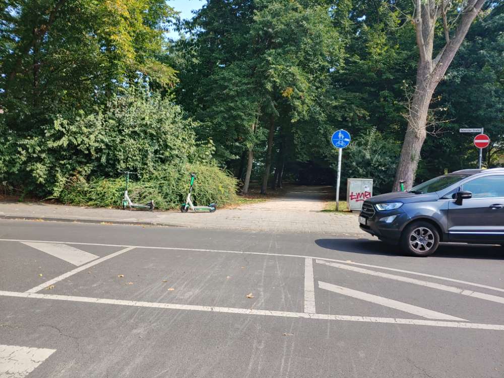 Giftköder-Giftköder-Profilbild