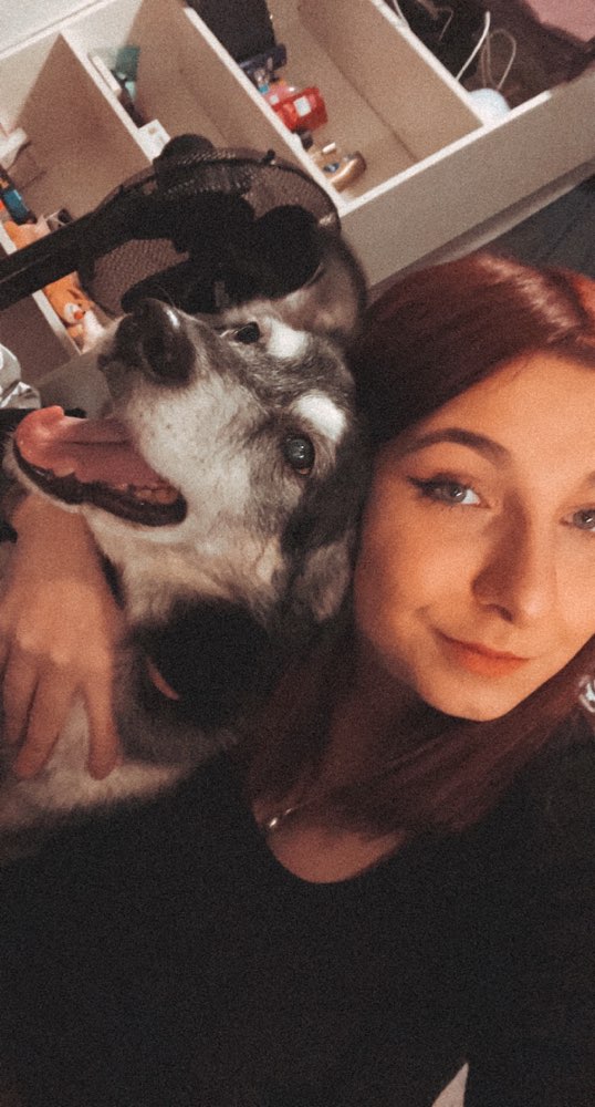 Hundetreffen-Gassi gehen an der frischen Luft-Profilbild