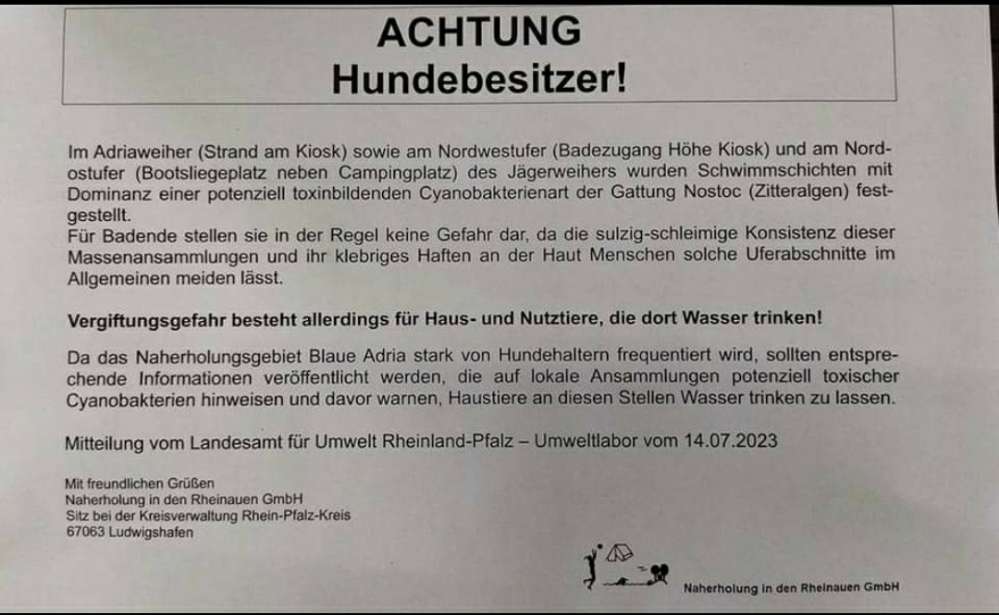 Giftköder-Vergiftungsgefahr am See durch Bakterien-Profilbild