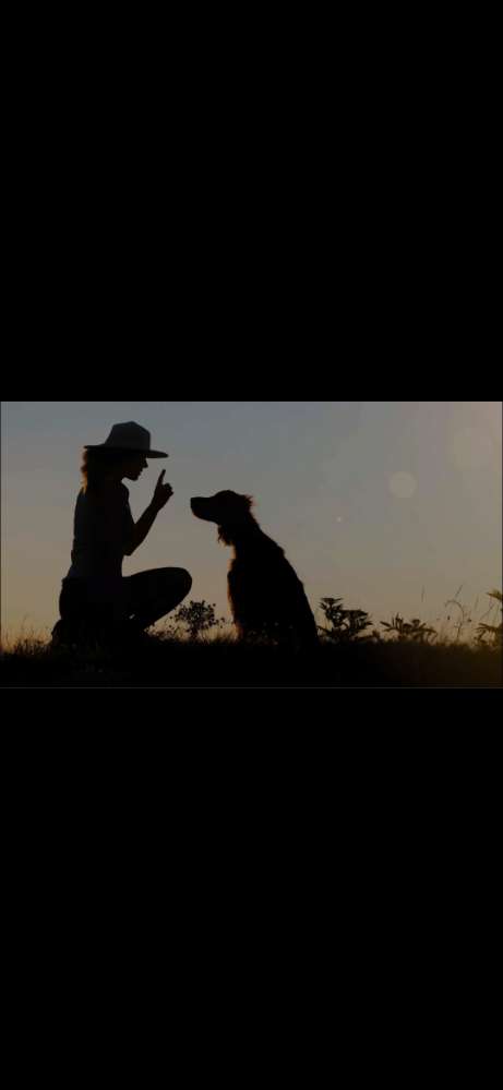 Hundetreffen-Trainingsgassirunde :)-Profilbild