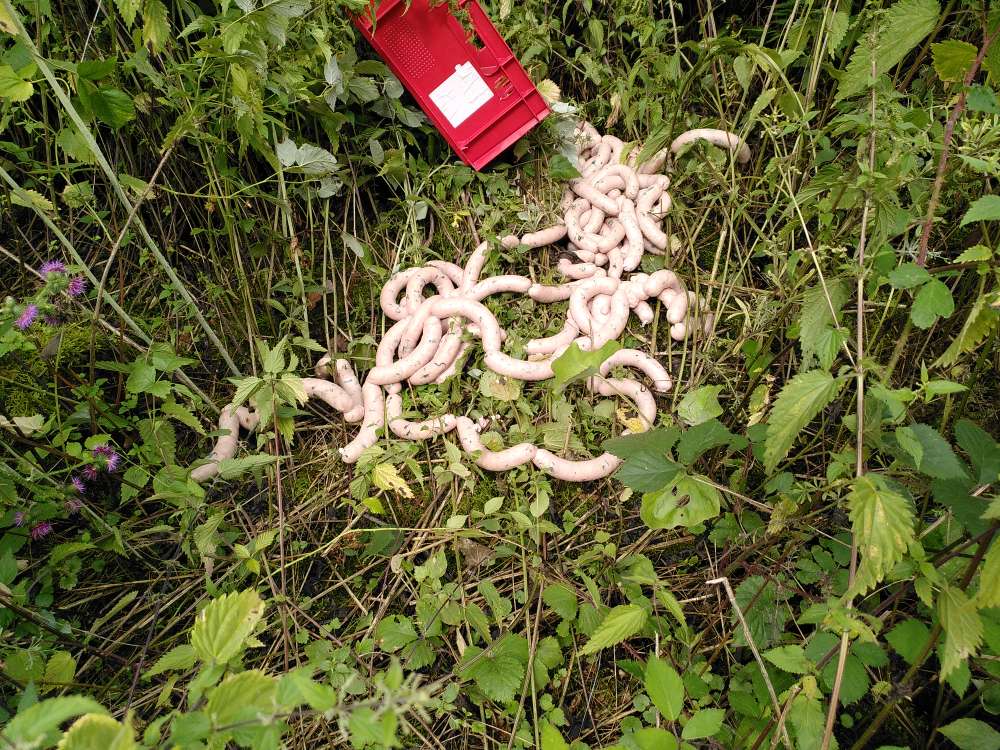 Giftköder-Würste am Wegrand-Profilbild