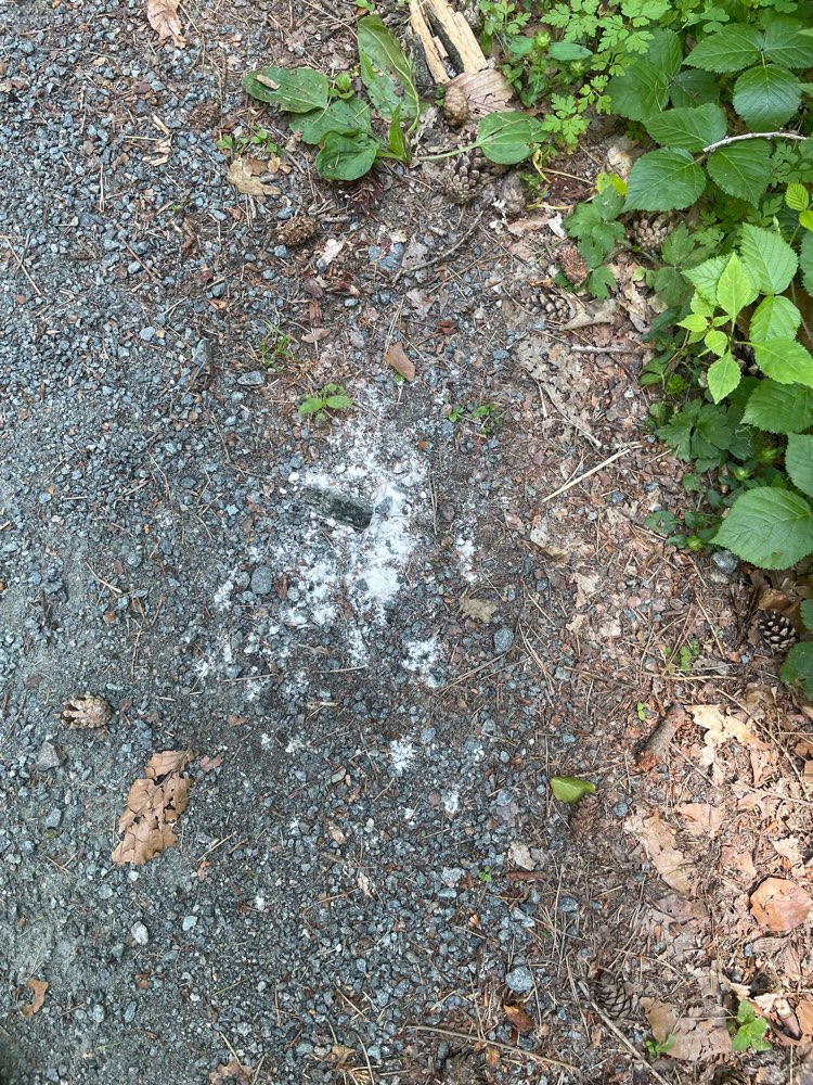 Giftköder-Weißes Pulver im Wald von Erzhausen-Profilbild