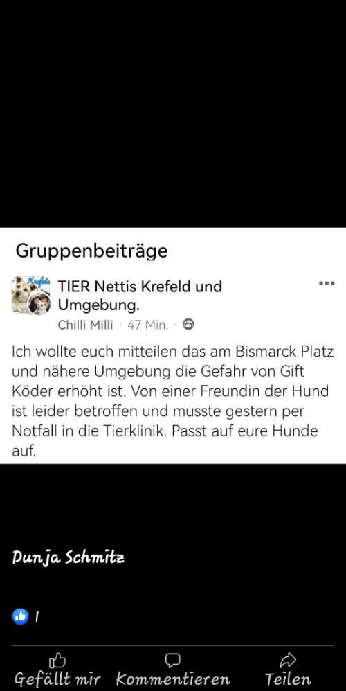 Giftköder-Giftköder am und im Bismarckpark-Profilbild