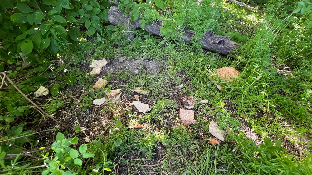 Giftköder-Giftköder-Profilbild