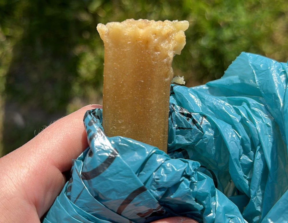 Giftköder-Eventueller Giftköder-Profilbild