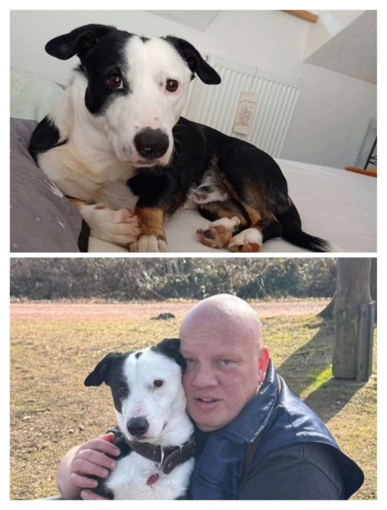 Hundetreffen-Spiel& Gassi runde-Profilbild