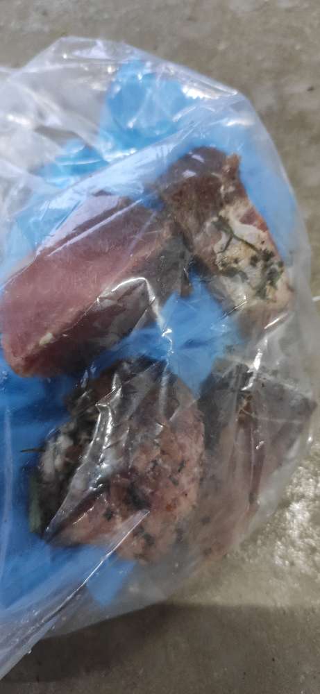 Giftköder-Fleischbrocken-Profilbild