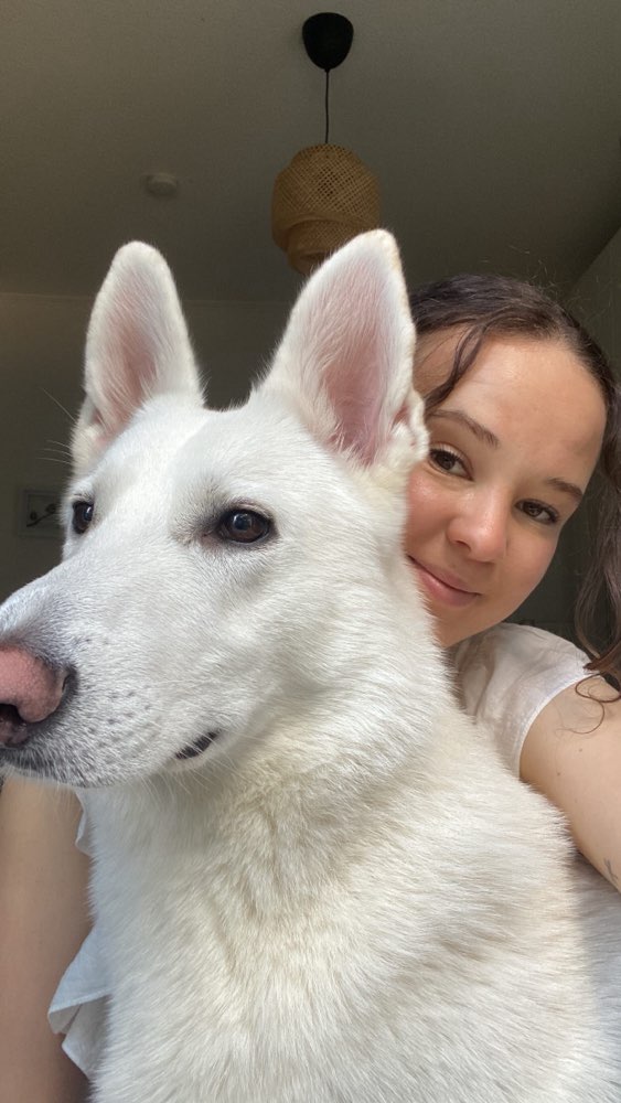 Hundetreffen-Hundebegegnungen üben-Profilbild