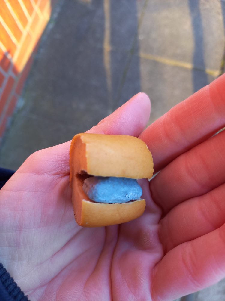 Giftköder-Giftköder-Profilbild