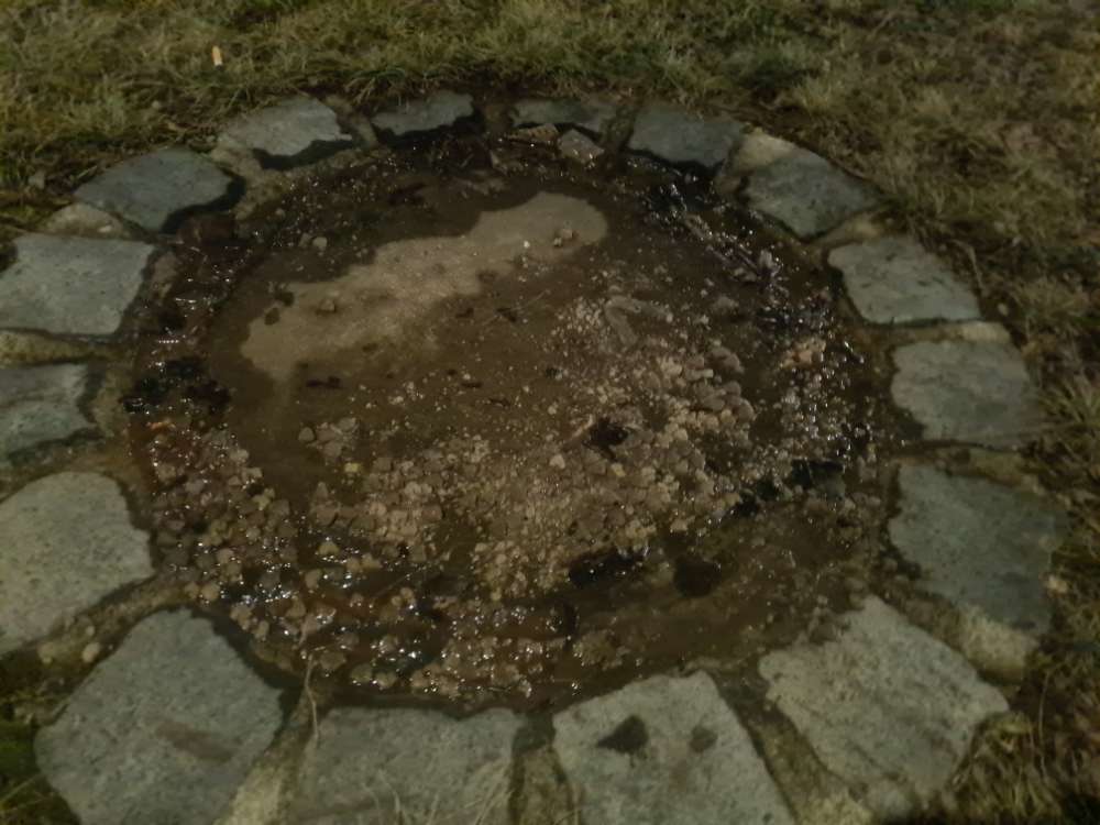 Giftköder-Vermutlicher Giftköder, Trockenfutter-Profilbild