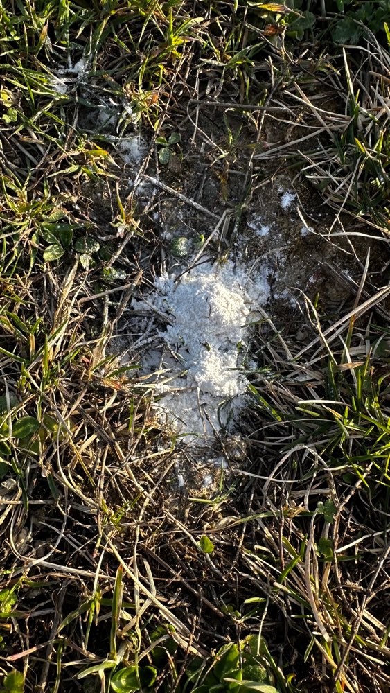 Giftköder-Weißes Pulver in Oeffingen-Profilbild