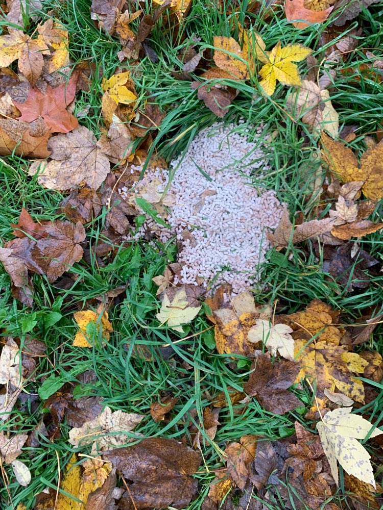 Giftköder-Unbekanntes Granulat-Profilbild