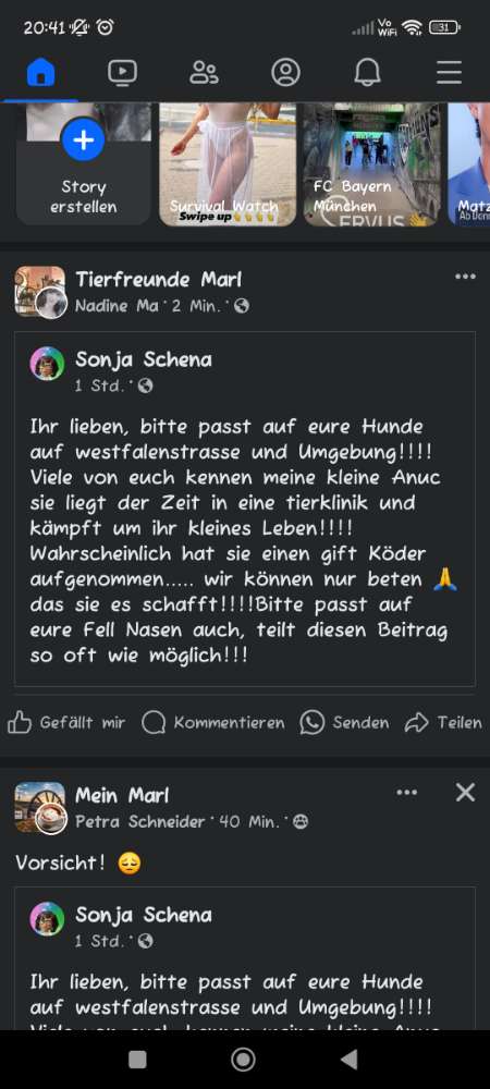 Giftköder-Giftköder-Profilbild