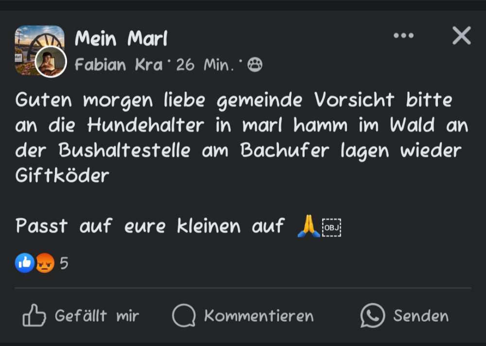 Giftköder-Giftköder-Profilbild