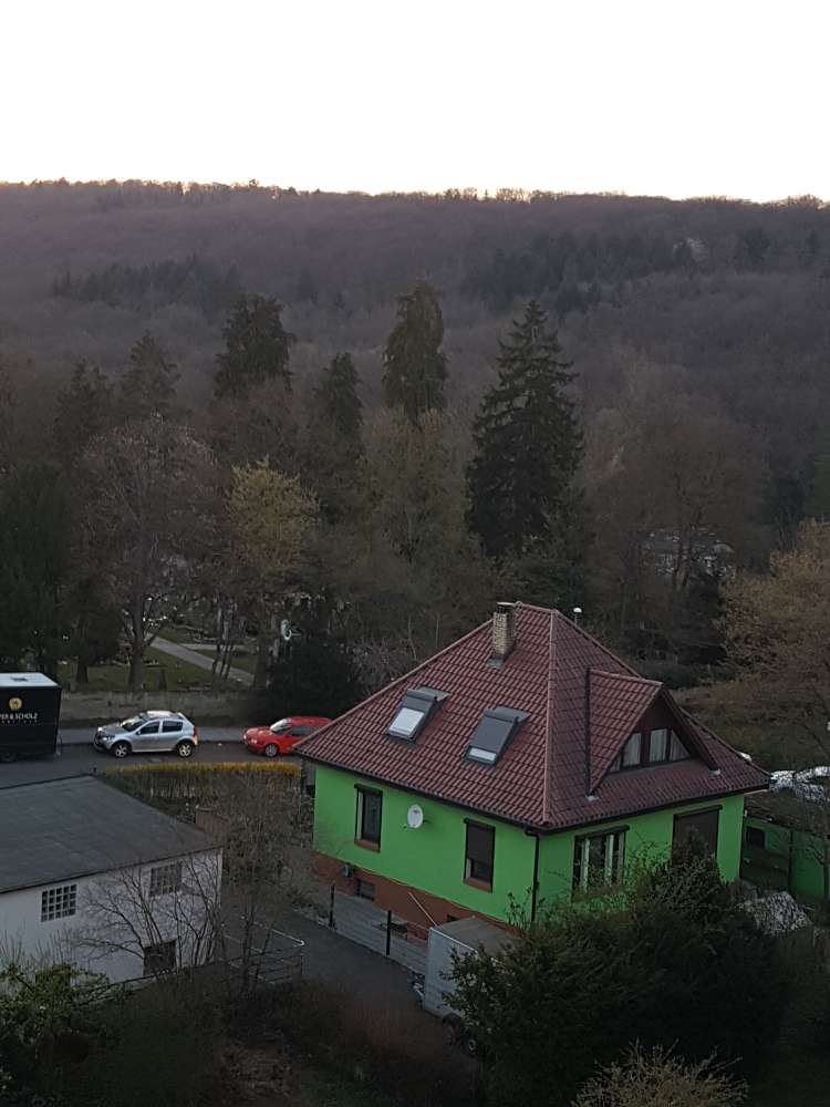 Hundetreffen-Spieltreffen Stuttgart Botnang-Profilbild