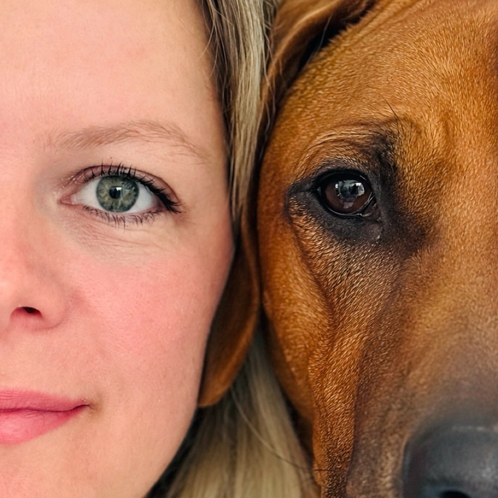 Hundetreffen-Gassi- und/oder Spieltreff gesucht-Profilbild