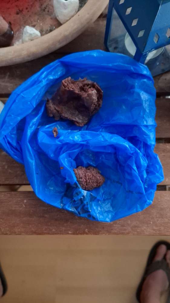 Giftköder-Wurst mit Rattengift-Profilbild