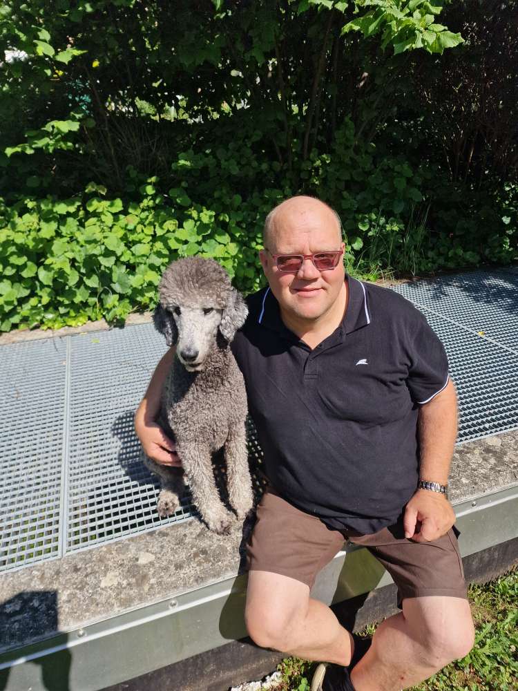 Hundetreffen-Spieltreffen in Oberfrick-Profilbild