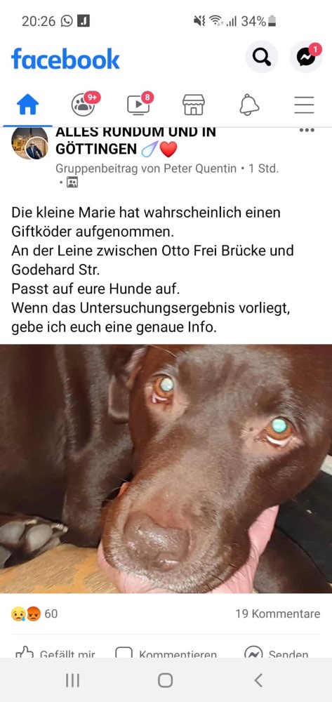 Giftköder-Vermutlich Giftköder-Profilbild