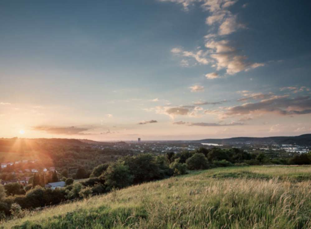 Hundetreffen-Seniorentreff/-spaziergang-Profilbild