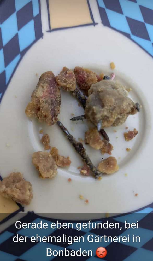 Giftköder-Fleisch mit Nägeln-Profilbild