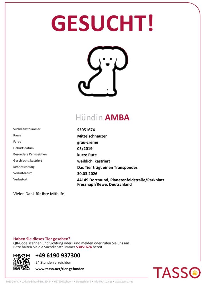 Suchmeldung-Amba-Profilbild