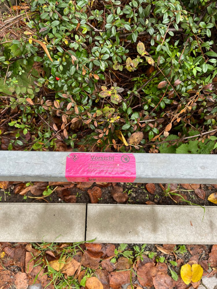 Giftköder-Rattengift-Profilbild