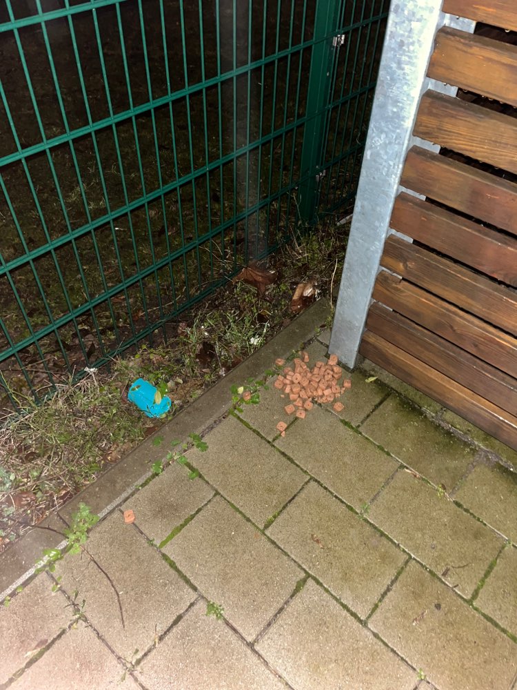 Giftköder-Nass- und Trockenfutter ausgelegt-Profilbild