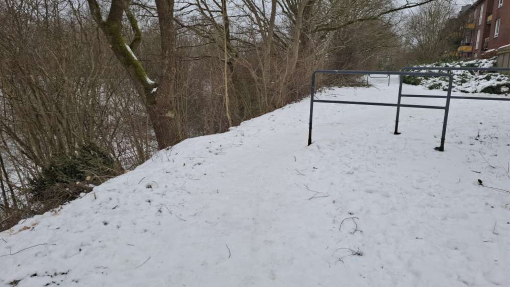 Giftköder-Evtl. Getreide-Rattengiftköder-Profilbild