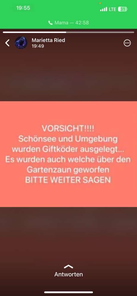 Giftköder-Giftköder in Schönsee-Profilbild