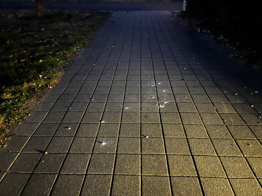 Giftköder-Wahrscheinlich Gift ...-Profilbild