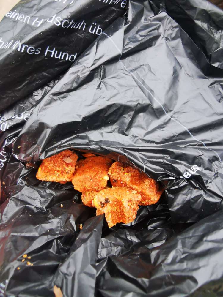 Giftköder-Giftköder Frolic-Profilbild