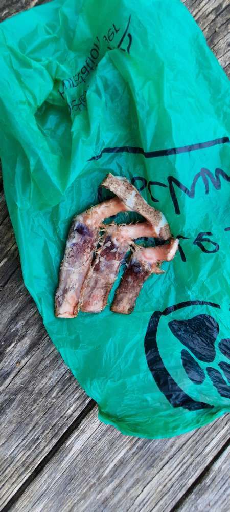 Giftköder-Knochen-Profilbild