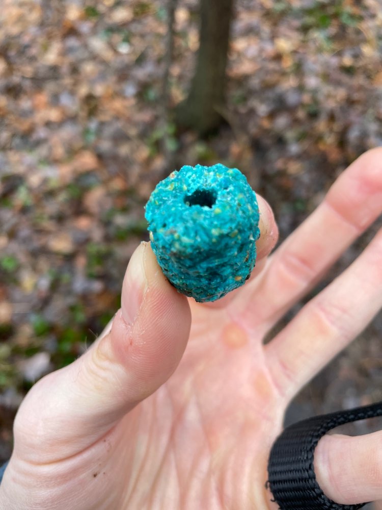 Giftköder-Rattengift-Profilbild