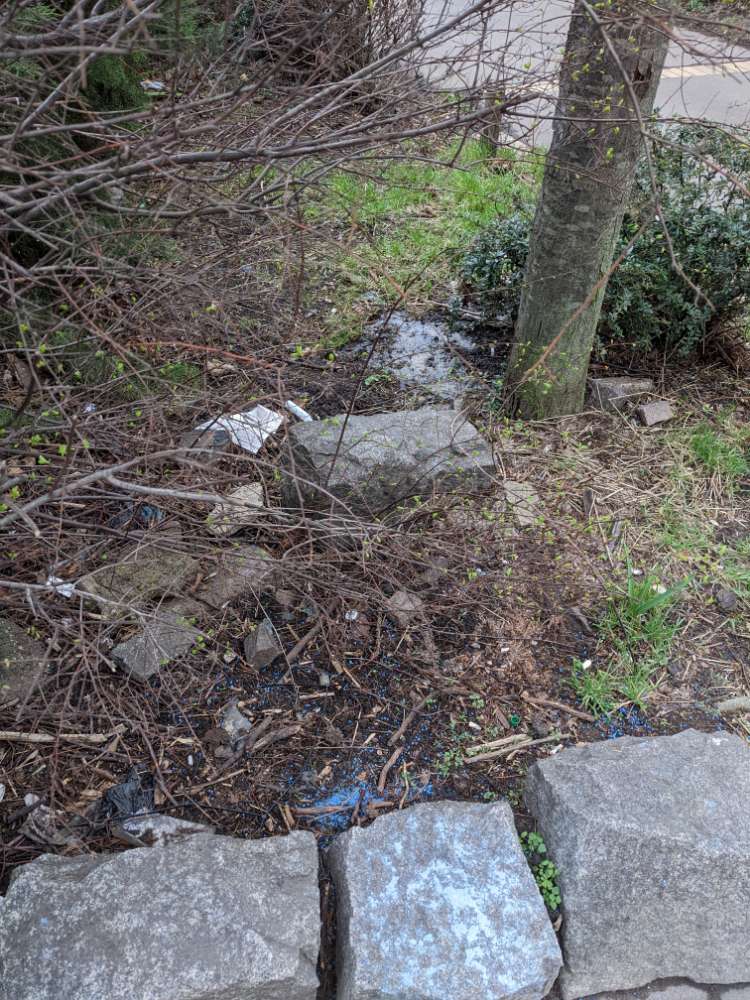 Giftköder-Möglicherweise Gift-Profilbild