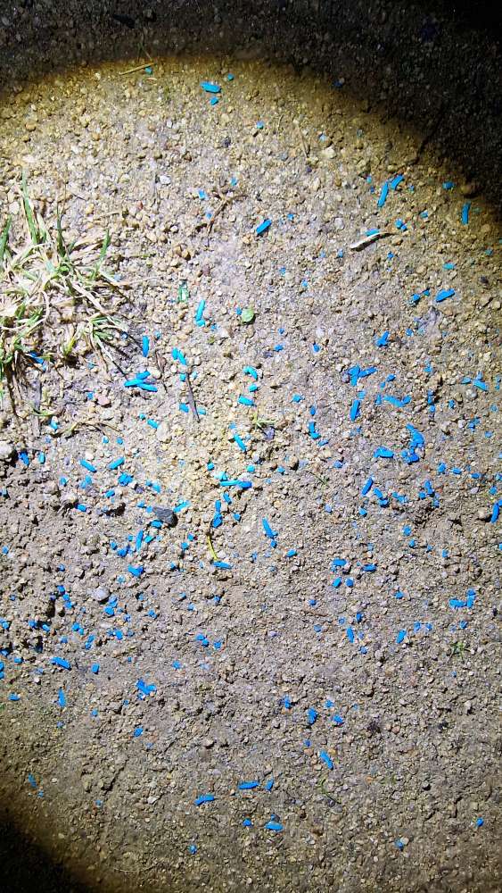 Giftköder-Blaue Pallets auf dem Weg verteilt-Profilbild